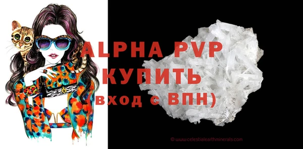 дмт Богданович