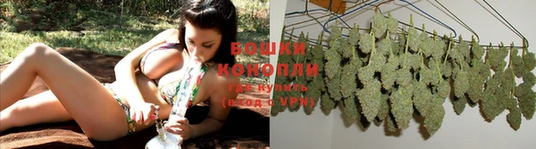 дмт Богданович