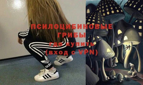 дмт Богданович