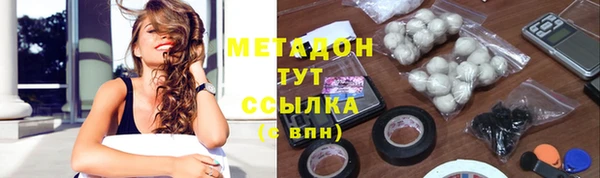 дмт Богданович