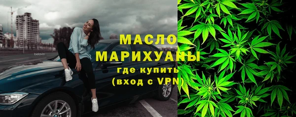 дмт Богданович