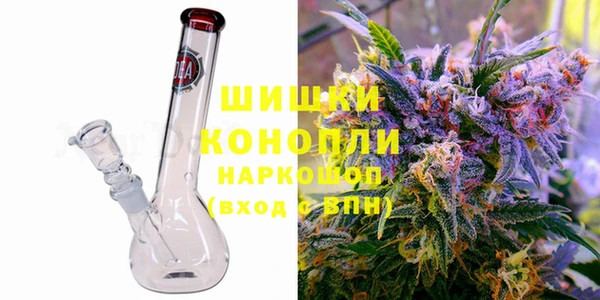 дмт Богданович