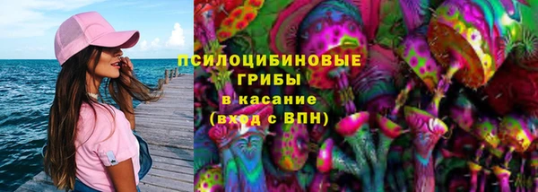 a pvp Богородск