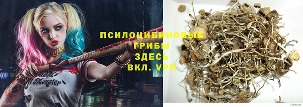 дмт Богданович