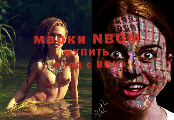 дмт Богданович