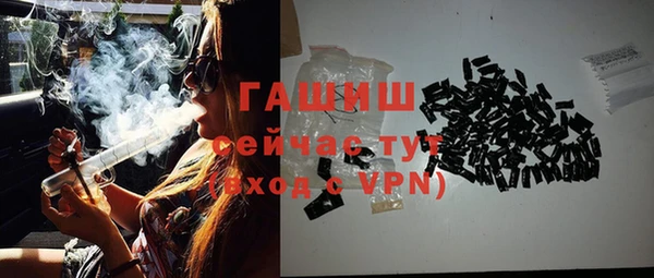 дмт Богданович