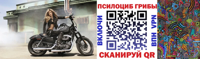 Псилоцибиновые грибы Psilocybine cubensis  где купить наркоту  Кириллов 